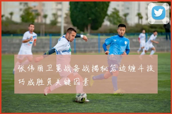 张伟丽卫冕战备战揭秘笼边缠斗技巧成胜负关键因素